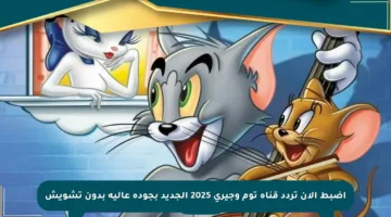 اضبط الآن تردد قناة توم وجيري 2025 الجديد بجودة عالية بدون تشويش